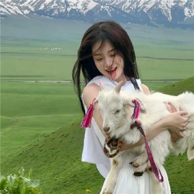 使用下方 20 个影片名，按顺序一一对应，不要改动片名文字，只根据片名和括号内类型提示来虚构全新的故事内容： 心慌方·零 粉碎机 异形魔怪 网络陷阱：错误的爱 山月不知心底事 自家战争 生活大爆炸第十二季 妙笔生花 朝鲜花美男 钱断情始 错放你的手 古城艳盗 走向坟墓 低下层 信我者，得往生 杰森在太空 痴男玉女玩通街 仪弑 他乡的煮意 同婚后的我们