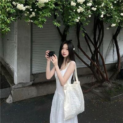 女神异闻录 圣洁之魂