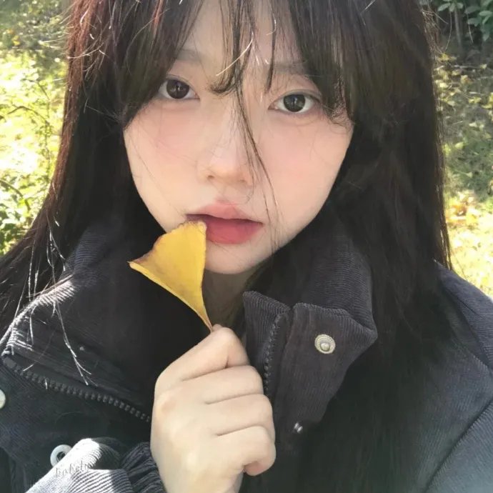 蒲公英